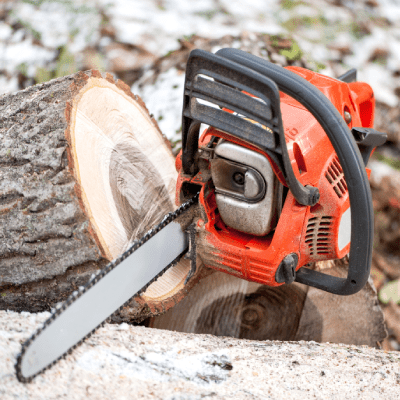 Tree Removal